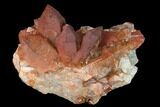 Natural, Red Quartz Crystal Cluster - Morocco #142924-1